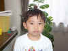 wpe33.jpg (29365 oCg)